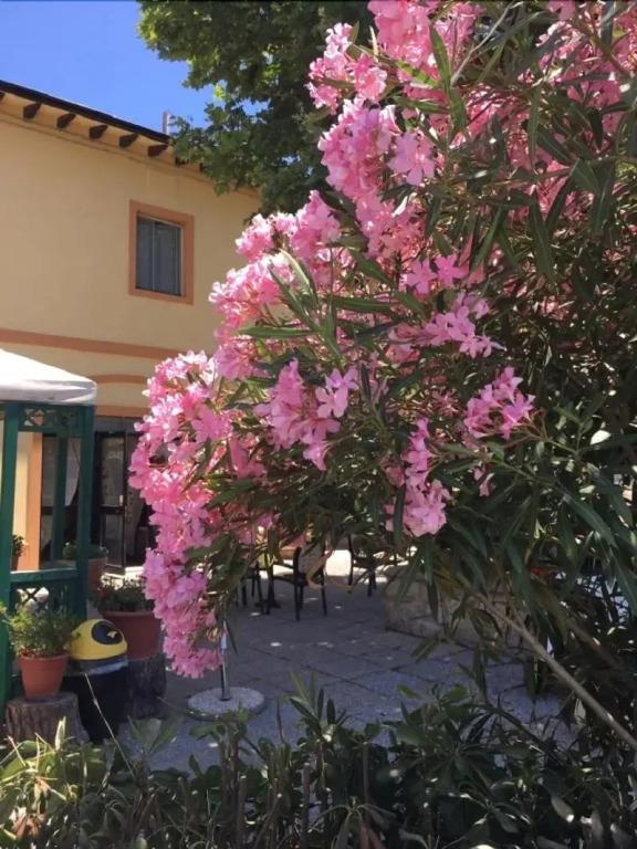 hotel image 14