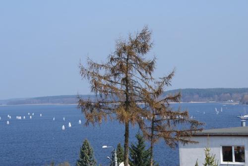 hotel image 23