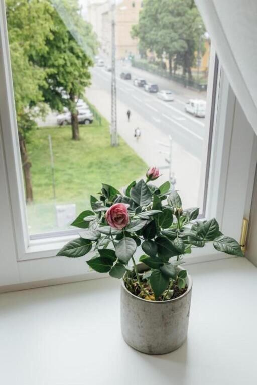 hotel image 25