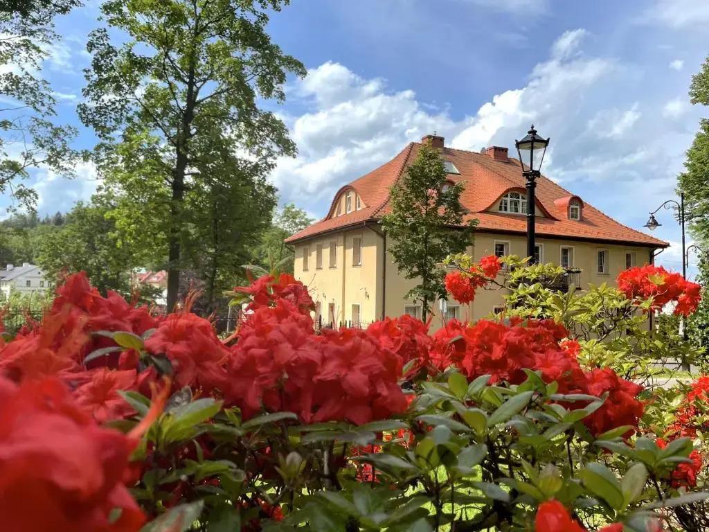hotel image 11