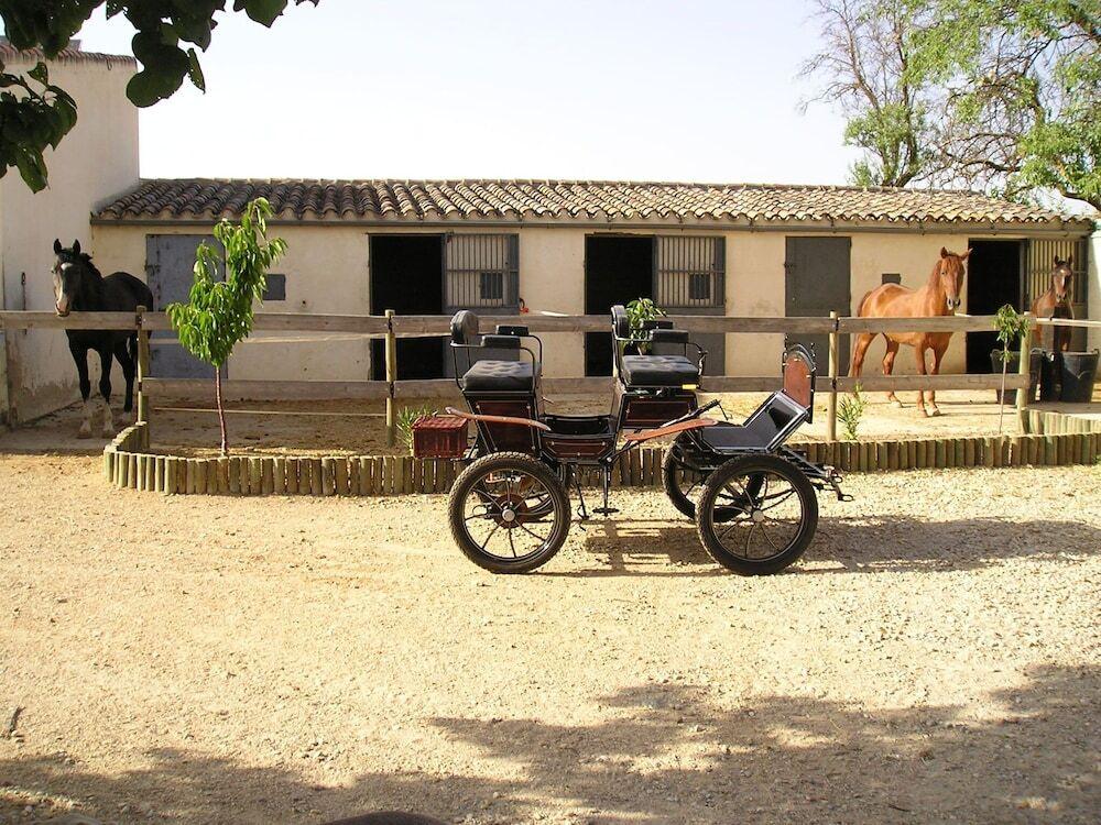 hotel image 15