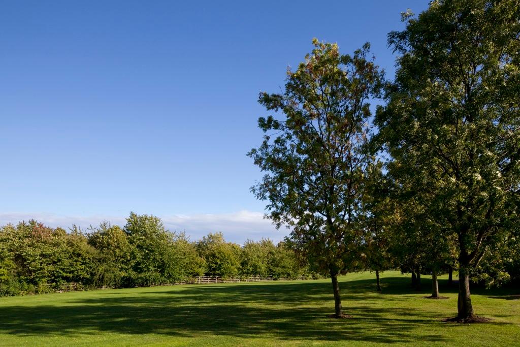 hotel image 24