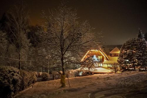 hotel image 13