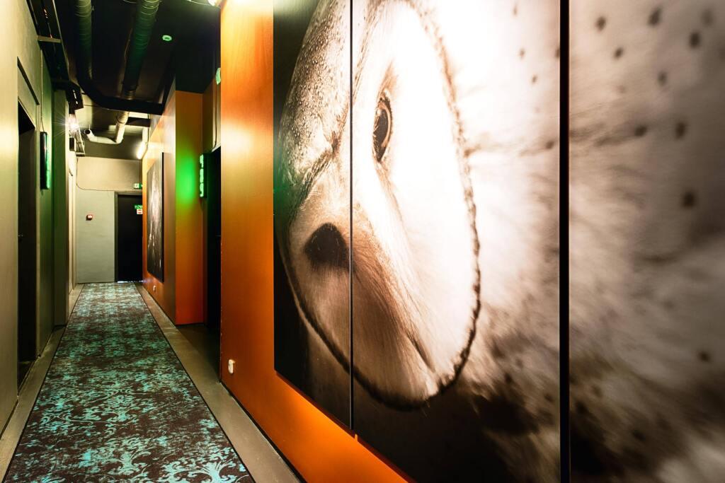 hotel image 10