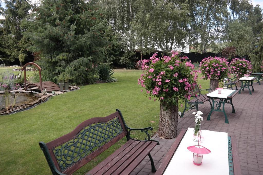 hotel image 13