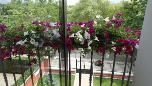 hotel image 26