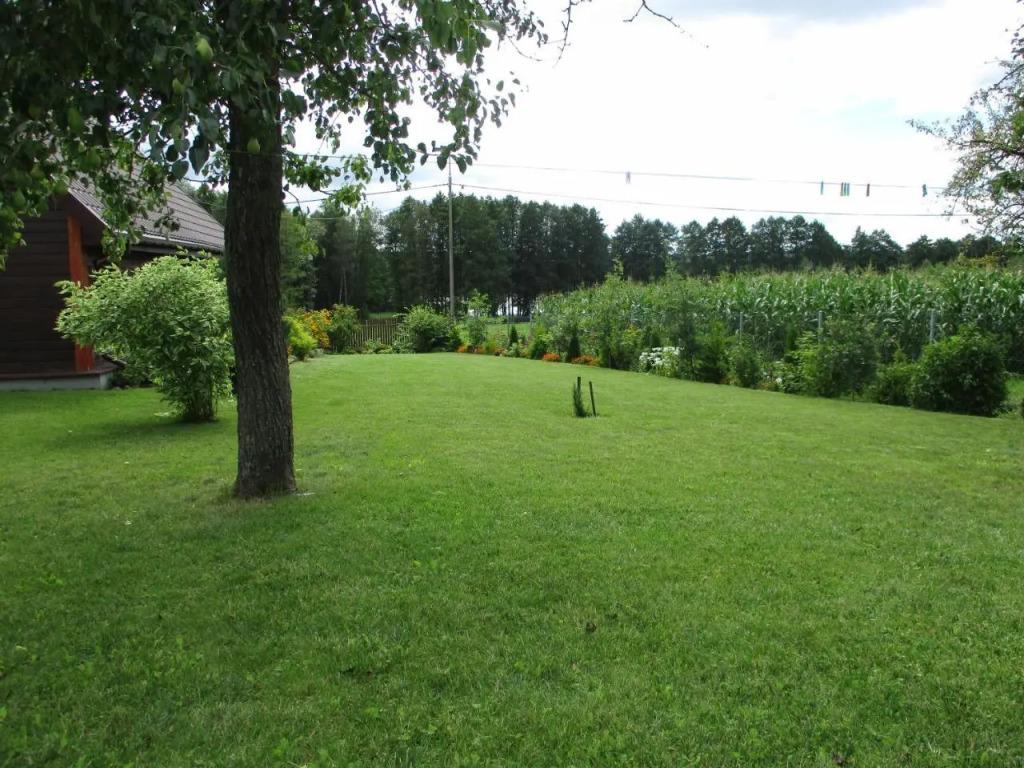 hotel image 37