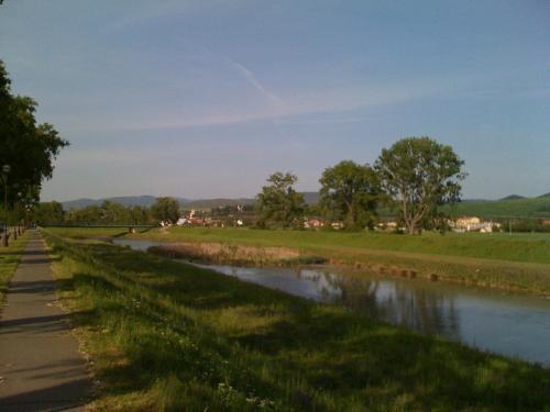 hotel image 16