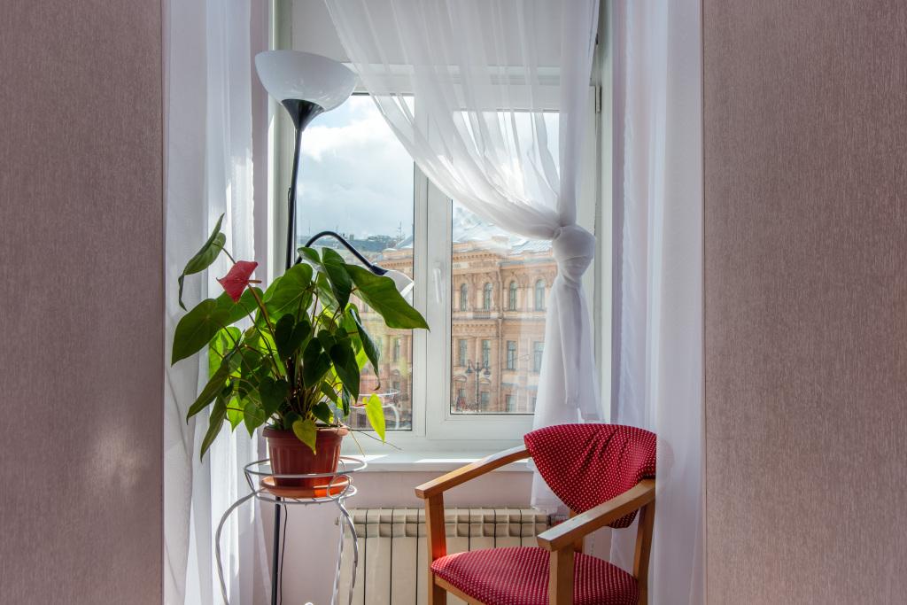 hotel image 7